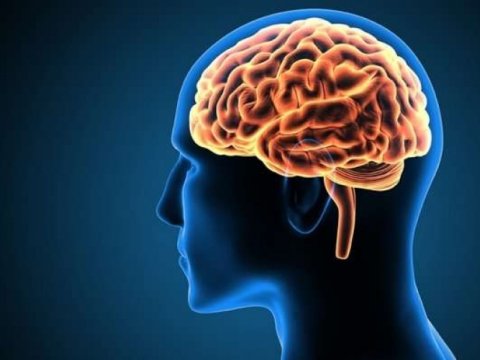 Azərbaycanda psixi sağlamlıq üzrə strategiya hazırlanır - Psixiatriya təhsilinin müddəti artırılıb