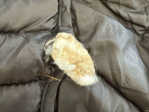 Həbsdəki dostuna heroin keçirmək istədi, YAXALANDI