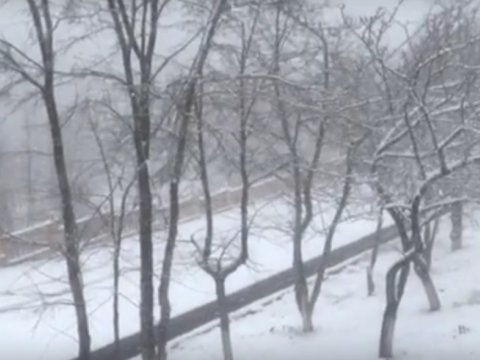 Külək zəifləyib, bəzi bölgələrə qar yağır - Faktiki hava