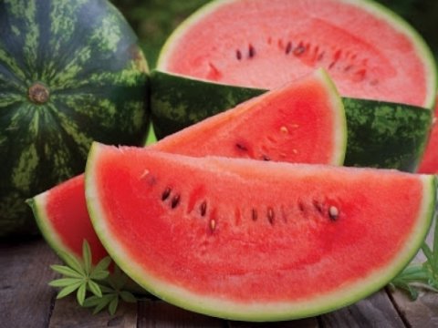 Qarpızdan hədsiz istifadə həyat üçün təhlükəlidir