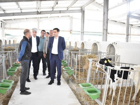 Sərdar Hacıyev Qəbələdə vətəndaşları qəbul edib, təsərrüfatlara baş çəkib