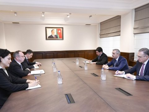 Samir Nuriyev Jukovla COP29-dan danışdı