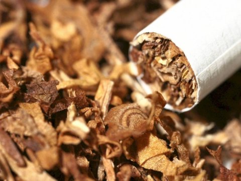 Siqaret istehsal etmək istəyənlərin nəzərinə! - Ancaq yerli xammalla...