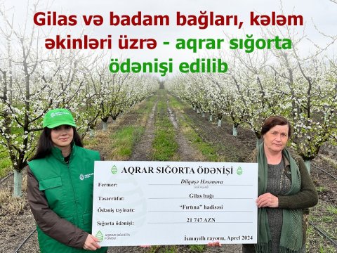 Fermerlərə aqrar sığorta ödənişi edildi - FOTO