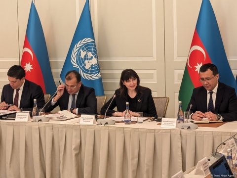 COP29-un uğurla keçirilməsi üçün Azərbaycanla birgə iş aparılır