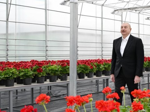 Prezident Gəncədə Ekoloji Park Kompleksinin tikintisi ilə tanış oldu - FOTO