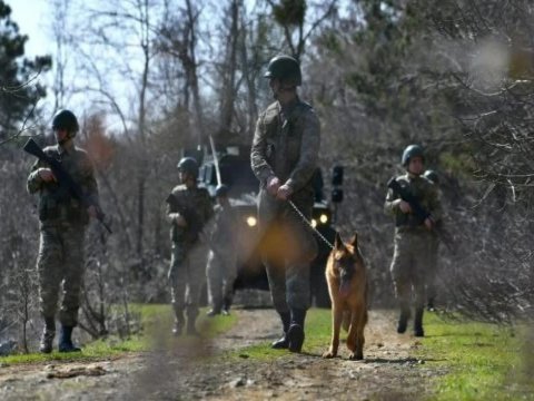 Türkiyədən Yunanıstana keçmək istəyənlər tutuldu