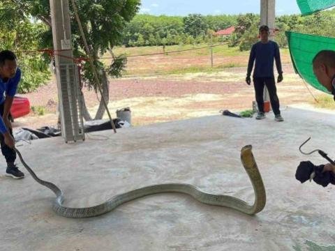 Maşından 16 kiloqram ağırlığında ilan çıxdı