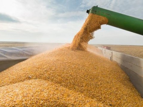 Ən çox buğda ehtiyatı olan ÖLKƏLƏR...