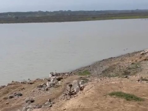 Şəmkir su anbarındakı torlar yığışdırıldı
