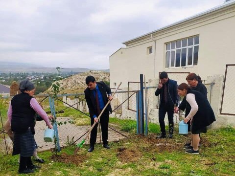 Goranboyda yaşıllıq zolaqları salınır - FOTO
