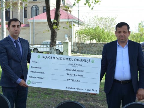 Qarğıdalı sahəsi üzrə aqrar sığorta ödənişi edildi