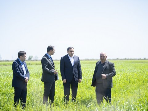 Nazir müavini Neftçalada vətəndaşları qəbul edib - Təsərrüfatlara baş çəkib