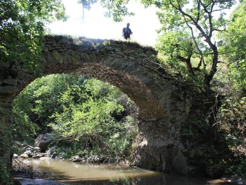 Qazaxın işğal altındakı Yuxarı Əskipara kəndindən FOTOLAR