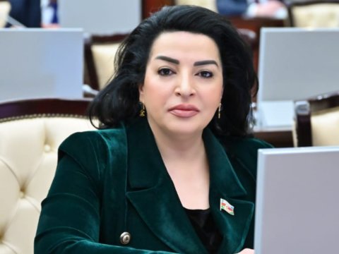 Azərbaycan qlobal ekoloji böhranla mübarizəyə başlayıb