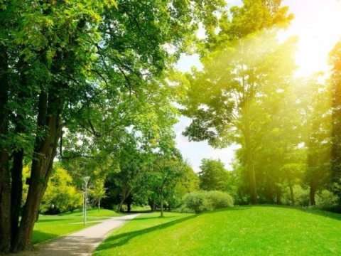 Bu gün 30 dərəcə isti olacaq 