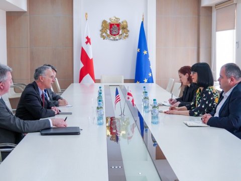 Lui Bono Gürcüstan XİN başçısı ilə görüşdü