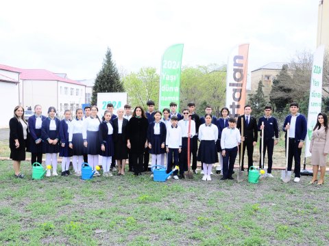 Naftalanda ağacəkmə aksiyası - FOTO