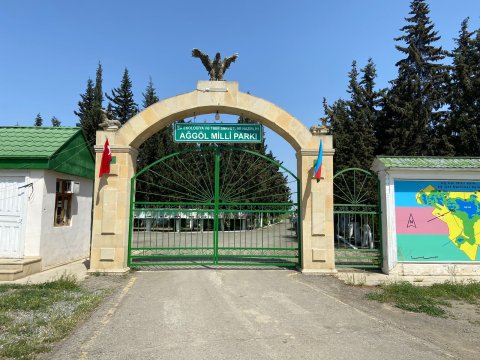 Bu il Ağgöl Milli Parkında 78 minə yaxın ornitofauna nümunəsi qeydə alınıb