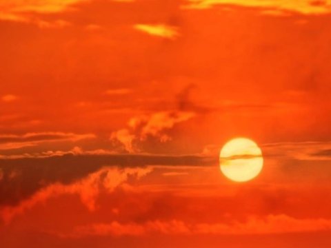 Ekstremal hava Avropaya milyardlarla avro məbləğində ziyan vurub