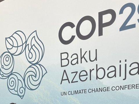 COP29-a görə vergi güzəştləri olacaq
