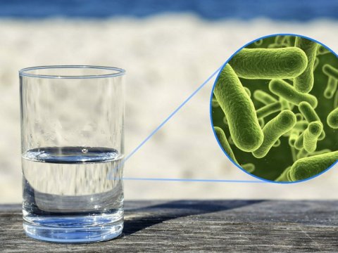 Fransada içməli suda təhlükəli bakteriyalar AŞKARLANDI