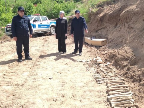 Erməni vəhşiliyinin növbəti izi: Malıbəylidə kütləvi məzarlıq