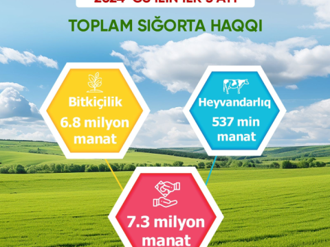 Aqrar Sığorta Fondu 2024-cü ilin ilk rübü üzrə nəticələrini açıqladı