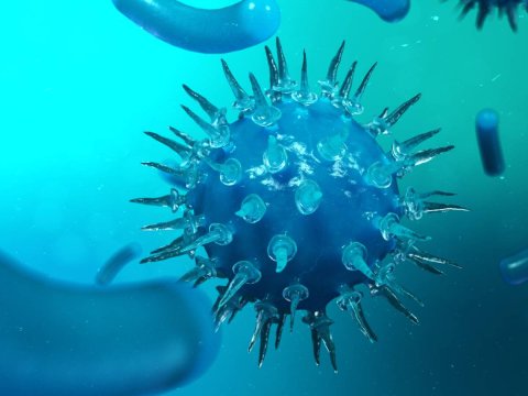 Azərbaycanda koronavirus 