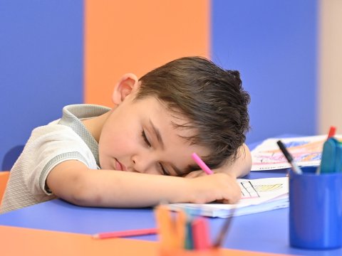 Alternativ məktəbəqədər sinfə mediatur təşkil edilib - FOTO