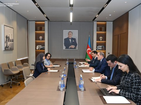 Ceyhun Bayramov Baş katiblə görüşdü