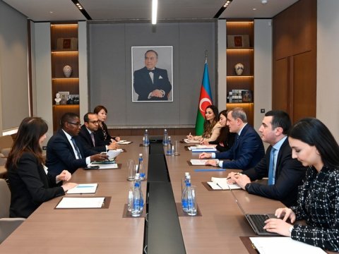 Nazir BMT rəsmisi ilə COP29-dan danışdı