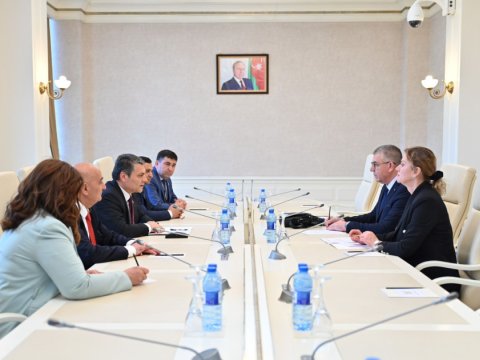 Parlamentdə bosniyalı deputatlarla görüş keçirilib