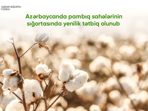 Pambıq sahələrinin sığortasında YENİLİK