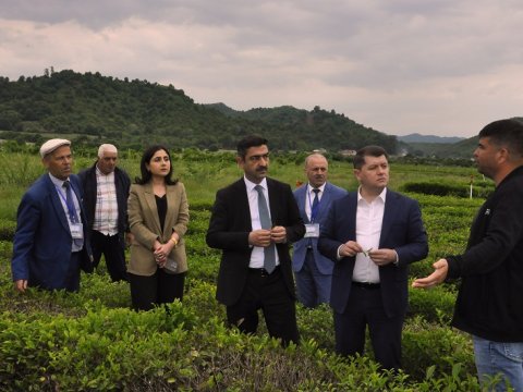 İlham Süleymanov Lənkəranda vətəndaşları qəbul edib - Təsərrüfatlara baş çəkib