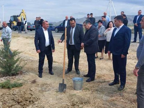 Hacıqabulda ağacəkmə aksiyası - FOTOLAR