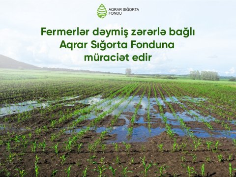 Selin təsərrüfatlara vurduğu zərərlə bağlı 20 müraciət daxil olub - RƏSMİ