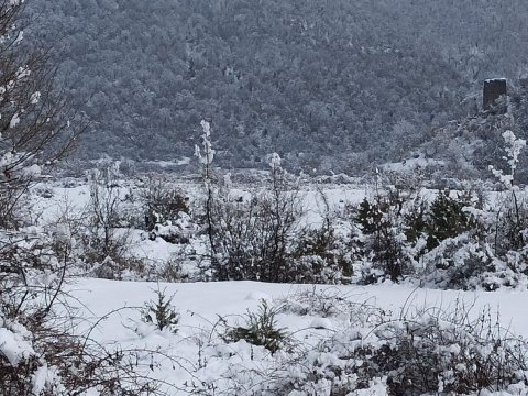 Xəzərdə dalğanın hündürlüyü 4 metrə çatıb, Şahdağa qar yağıb - FAKTİKİ HAVA
