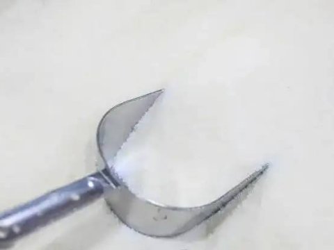 Qazaxıstan şəkər ixracını YASAQLADI