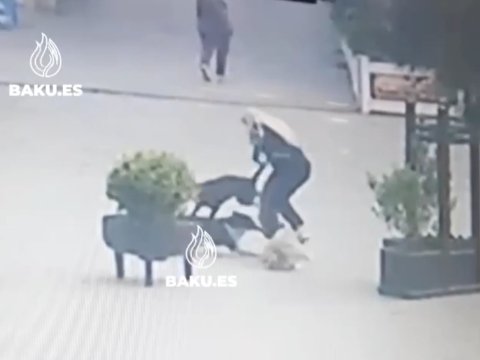 Xırdalanda sahibsiz itlər qadına hücuma etdi - Anbaan görüntülər