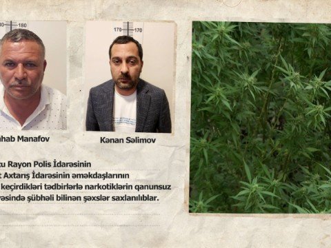Polis Bakıda narkoplantasiya aşkarladı - VİDEO