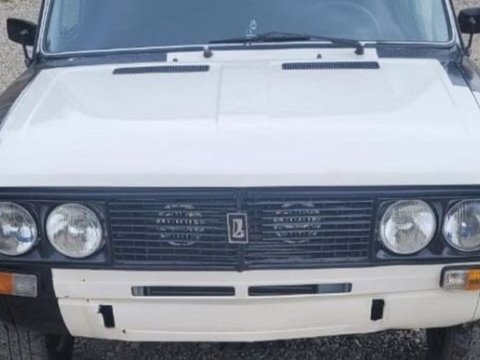 Parkda avtoxuliqanlıq edən gənc həbs edildi 