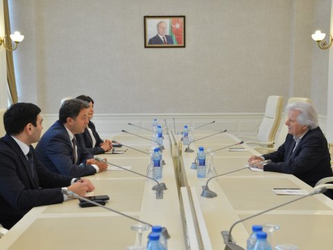 Milli Məclisdə Avropa Parlamentinin üzvü ilə görüş - FOTO