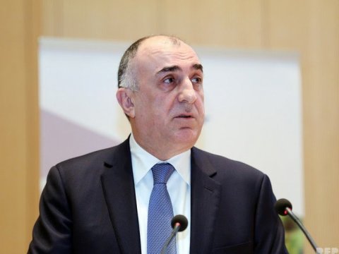 Elmar Məmmədyarov: “Elə bilirsiniz, nazir olanda yalnız maaşla dolanmışam?” - VİDEO