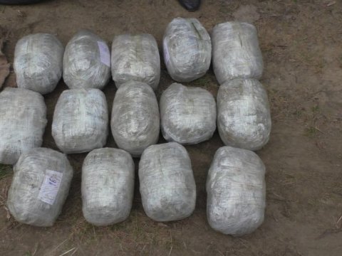 Saxlanılan şəxslərdə 14 kiloqram marixuana aşkarlandı