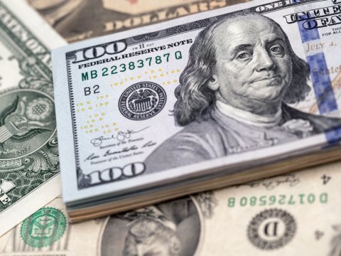 Valyuta hərracında dollara tələb 100 mln. dolları ötüb
