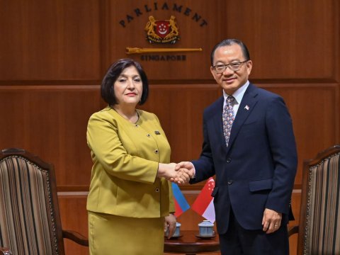 Sahibə Qafarova Sinqapur parlamentinin sədri ilə görüşdü - FOTO