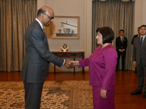 Sahibə Qafarova Sinqapur Prezidenti ilə görüşüb 