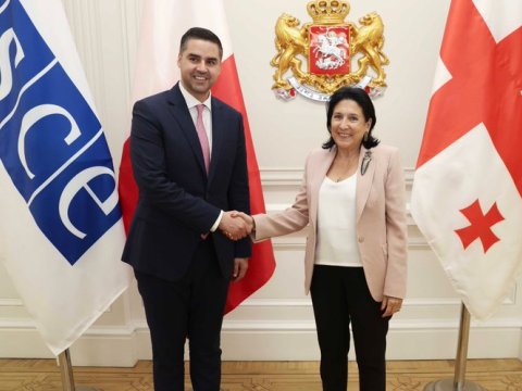 ATƏT sədri Gürcüstan Prezidenti ilə görüşüb