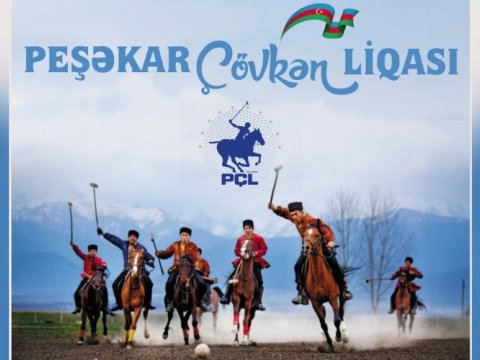 Peşəkar Çövkən Liqasında iştirak edəcək komandaların ADLARI